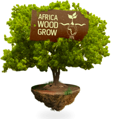 boom africa wood grow